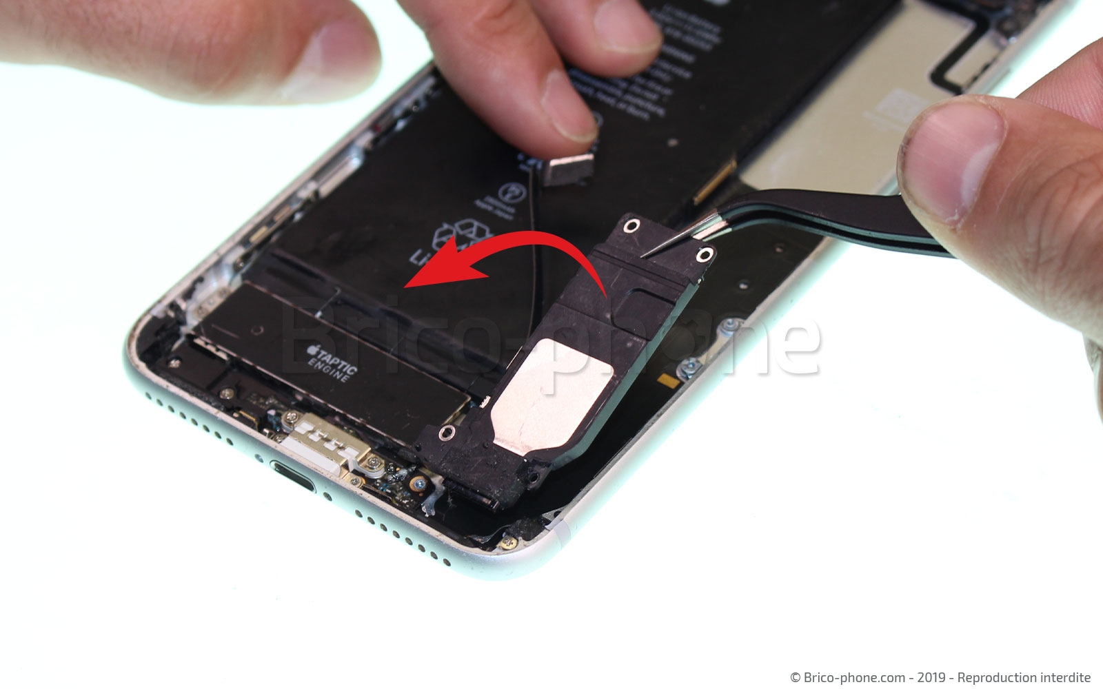 Changement du connecteur de charge sur iPhone 7 Plus photo 3