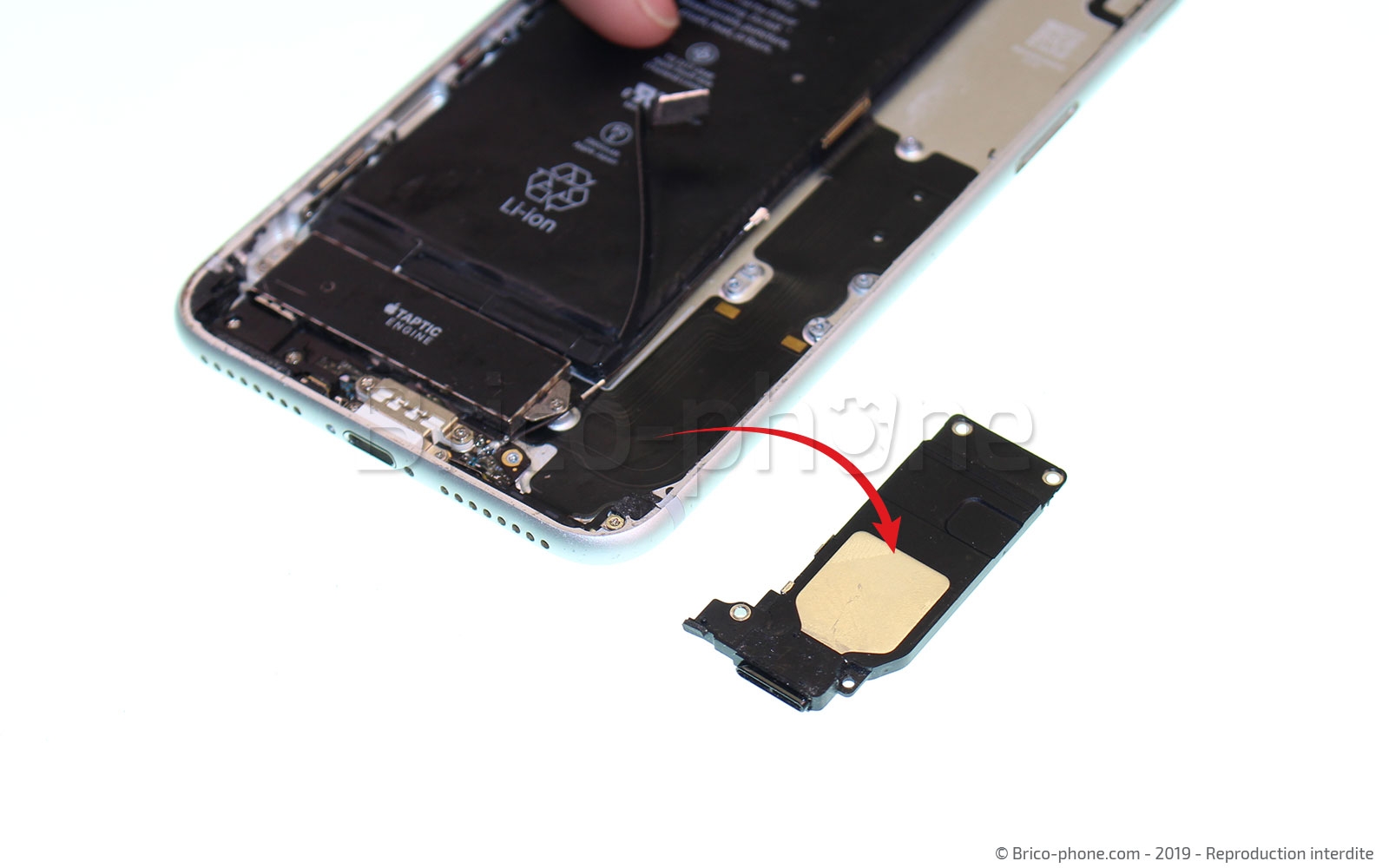 Changement du connecteur de charge sur iPhone 7 Plus photo 4