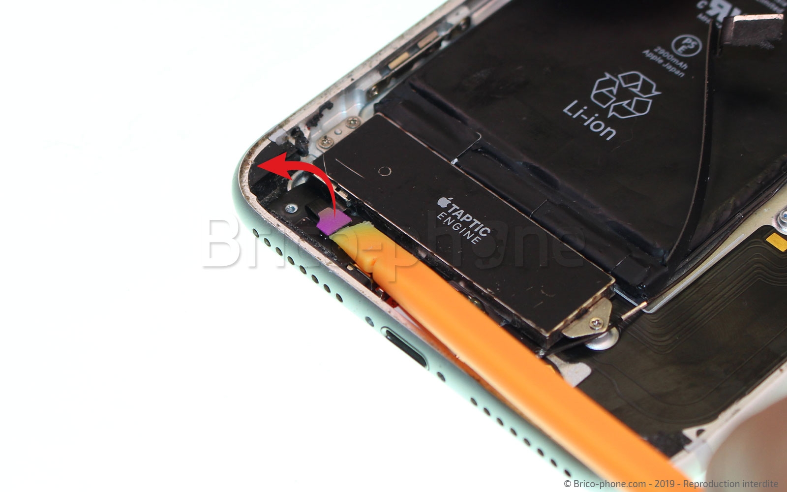 Changement du connecteur de charge sur iPhone 7 Plus photo 1