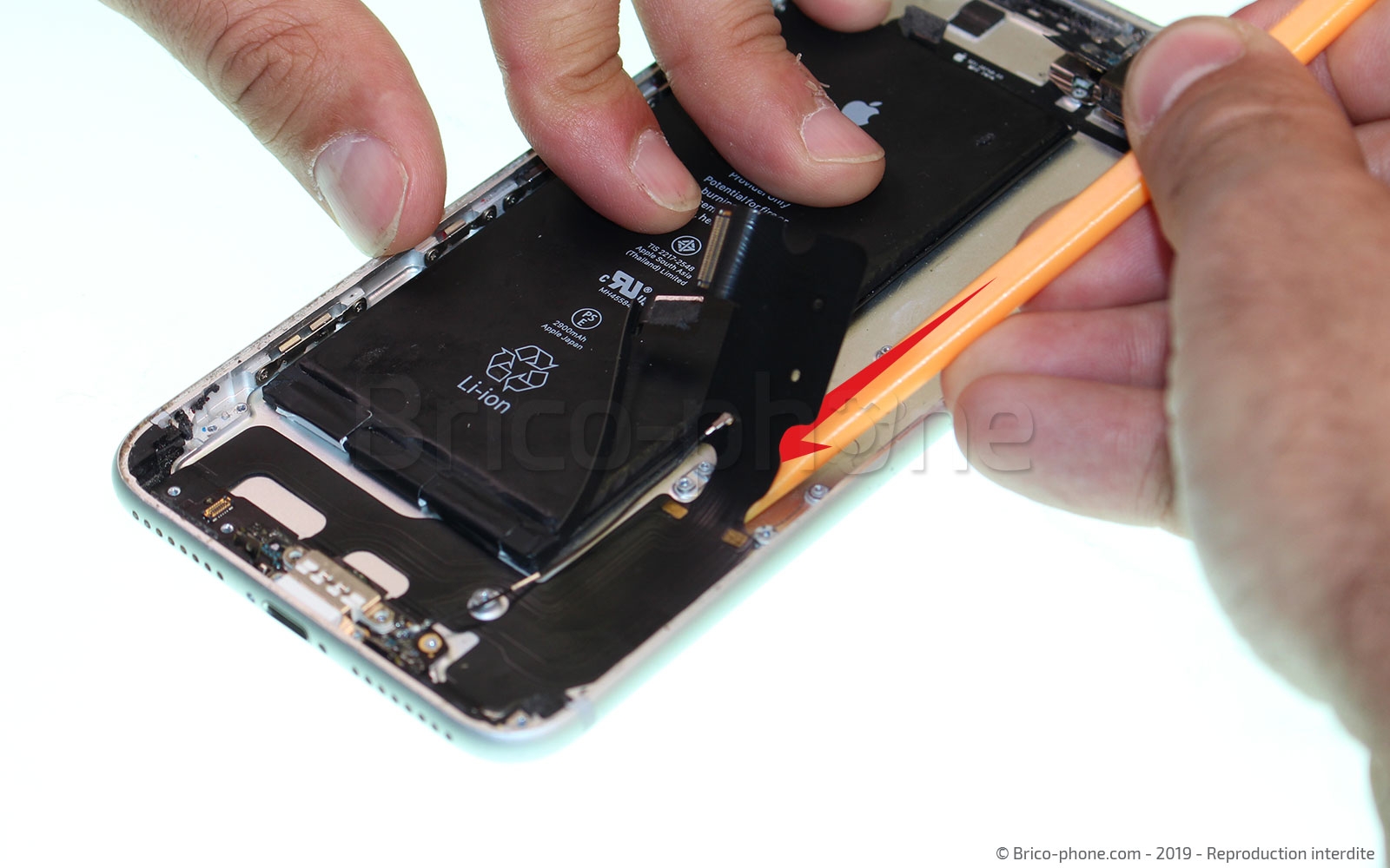 Changement du connecteur de charge sur iPhone 7 Plus photo 2