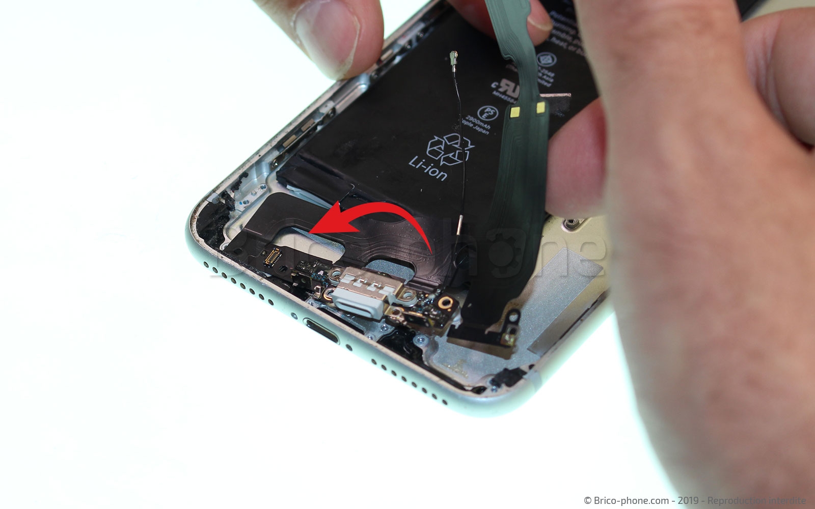 Changement du connecteur de charge sur iPhone 7 Plus photo 3