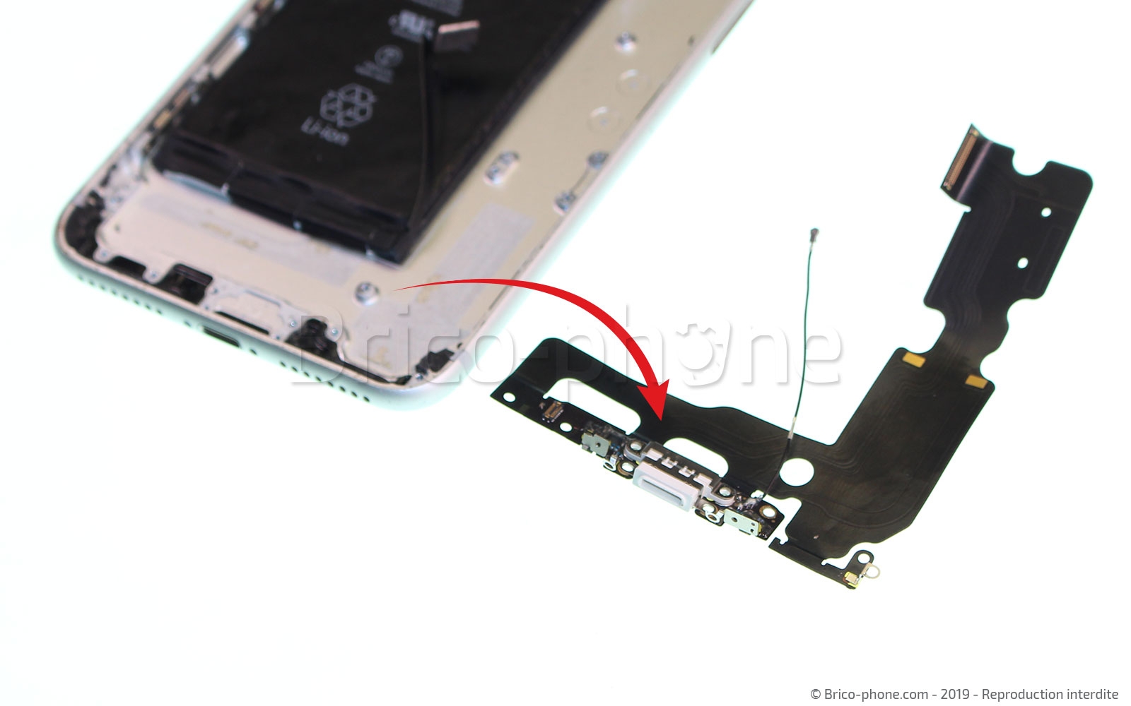Changement du connecteur de charge sur iPhone 7 Plus photo 4