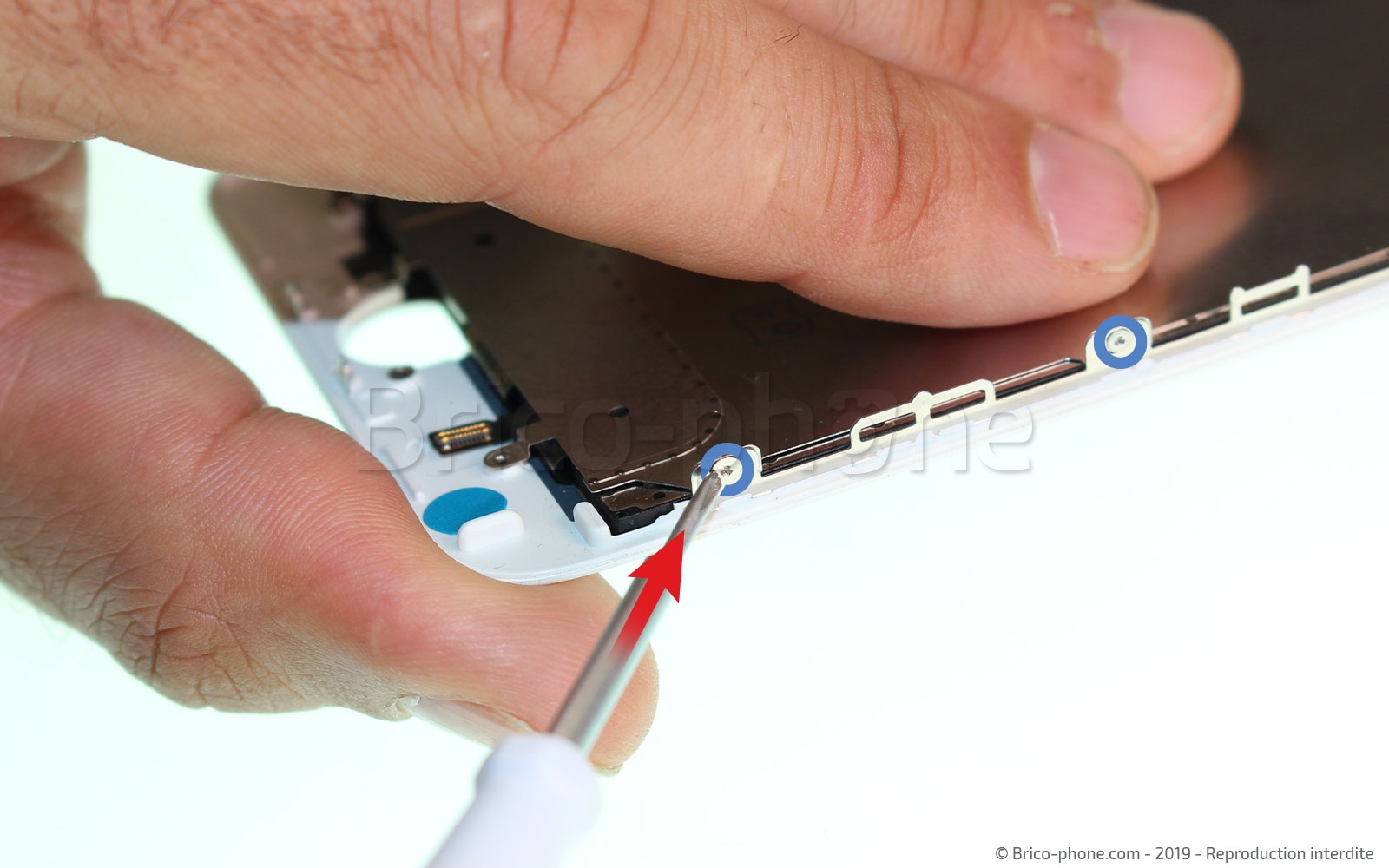 Changement d'écran (vitre+LCD) sans éléments prémontés sur iPhone 7 Plus photo 2