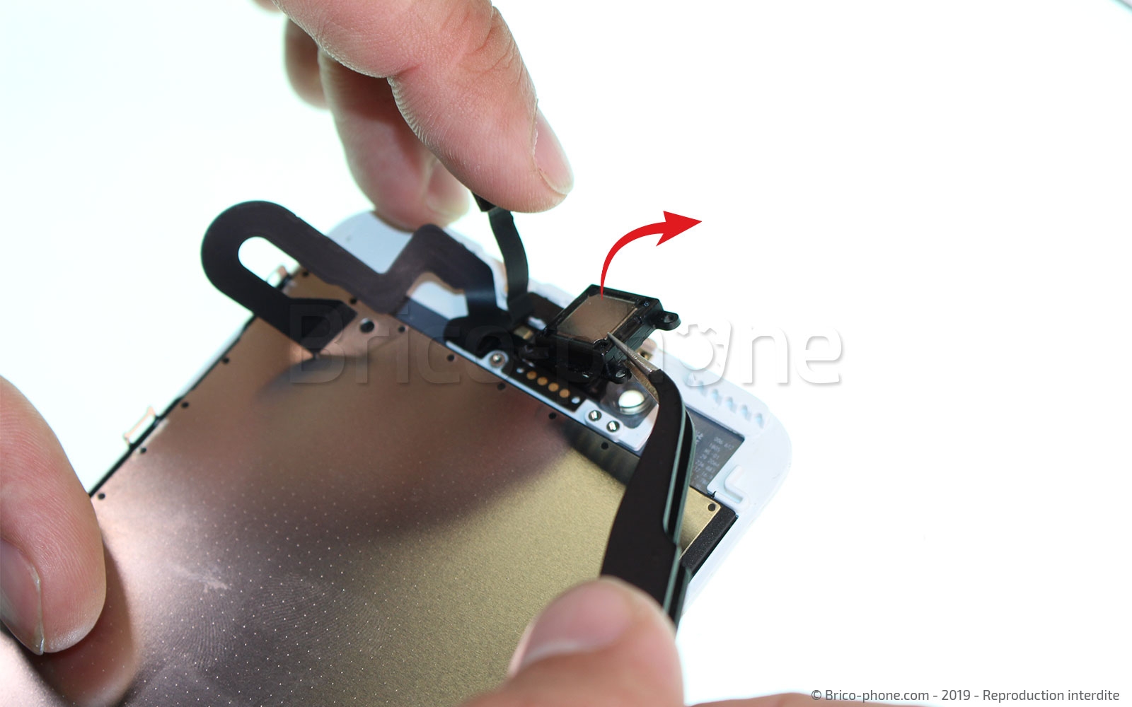 Changement d'écran (vitre+LCD) sans éléments prémontés sur iPhone 7 Plus photo 4