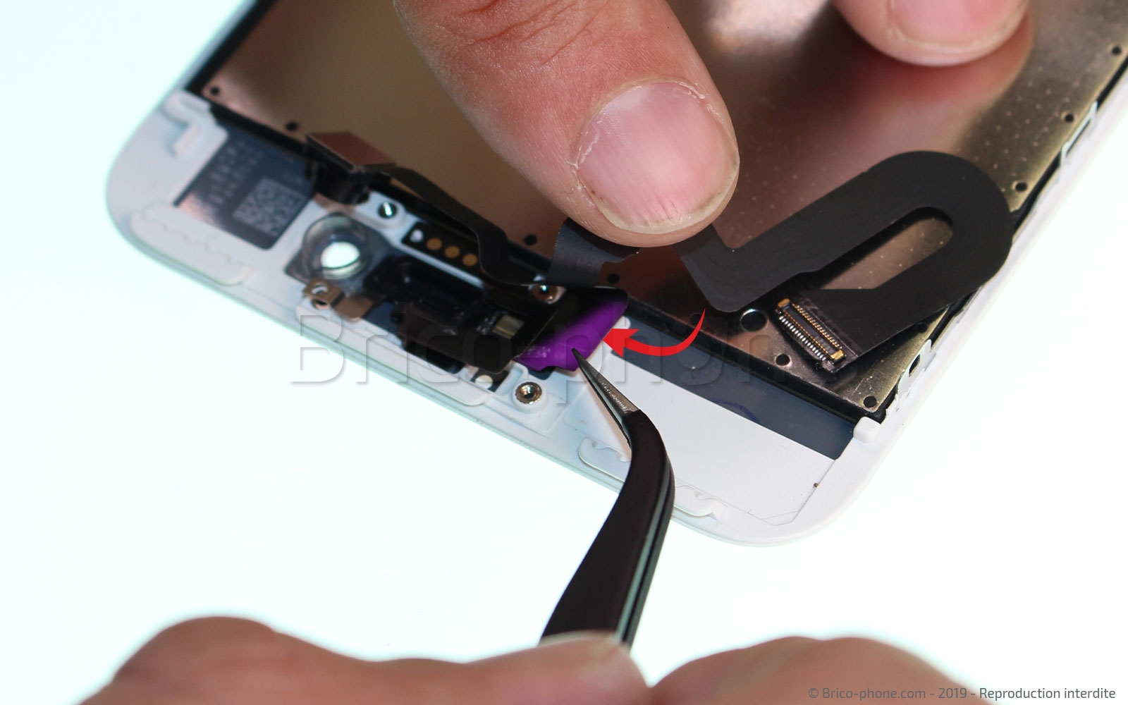 Changement d'écran (vitre+LCD) sans éléments prémontés sur iPhone 7 Plus photo 2