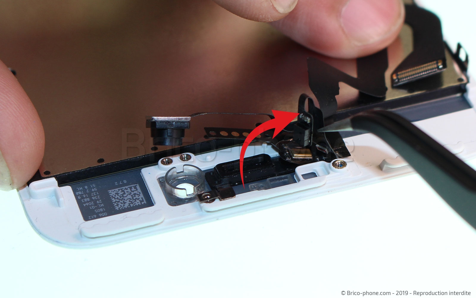 Changement d'écran (vitre+LCD) sans éléments prémontés sur iPhone 7 Plus photo 3