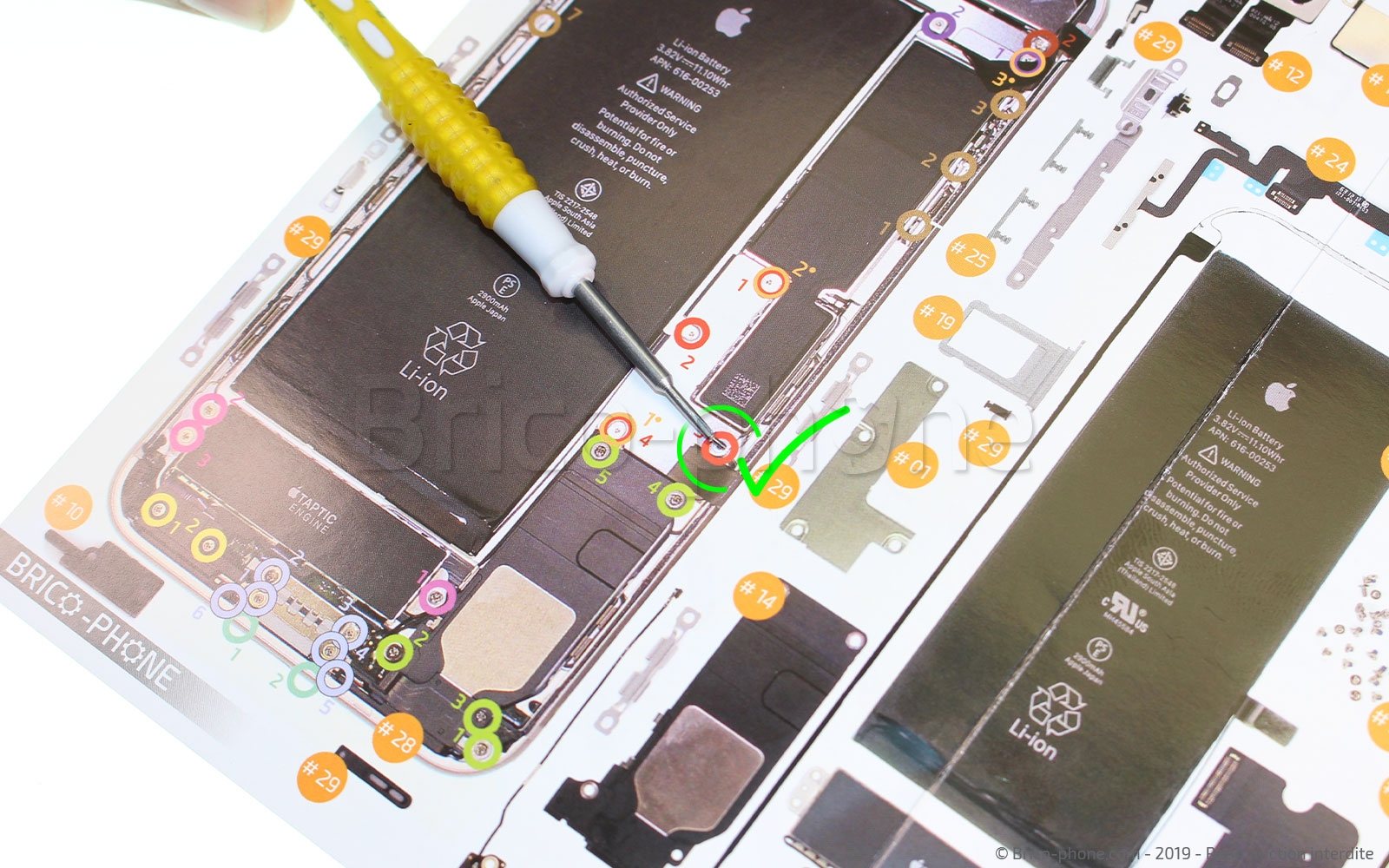 Changement d'écran (vitre+LCD) sans éléments prémontés sur iPhone 7 Plus photo 3