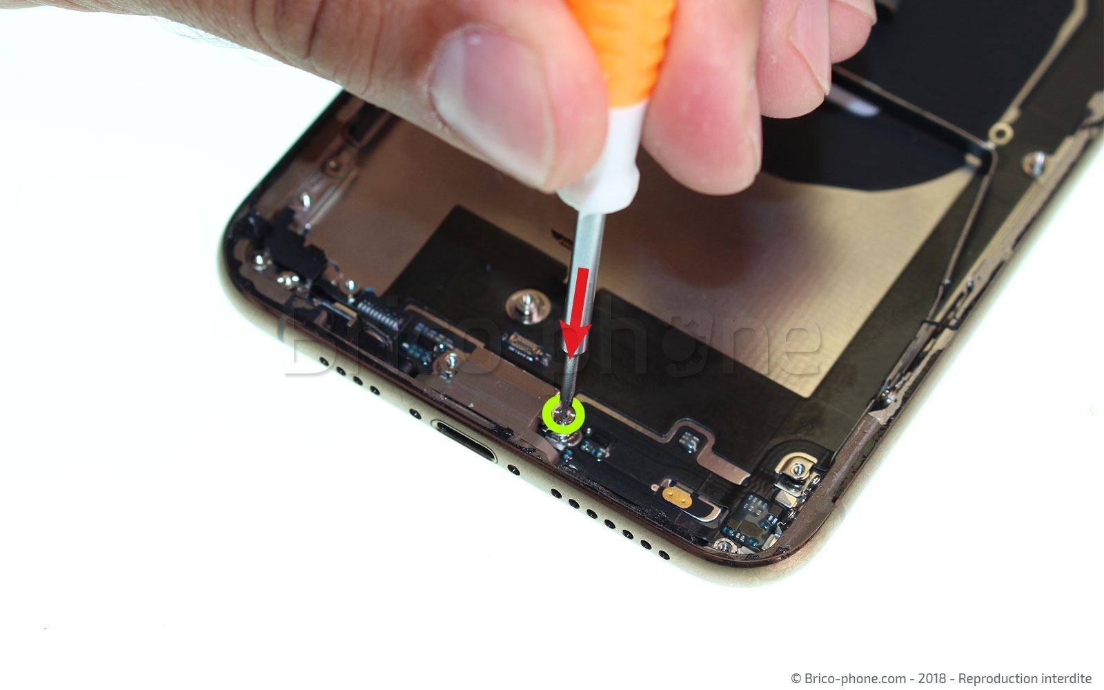 Démontage complet sur iPhone XS Max photo 1