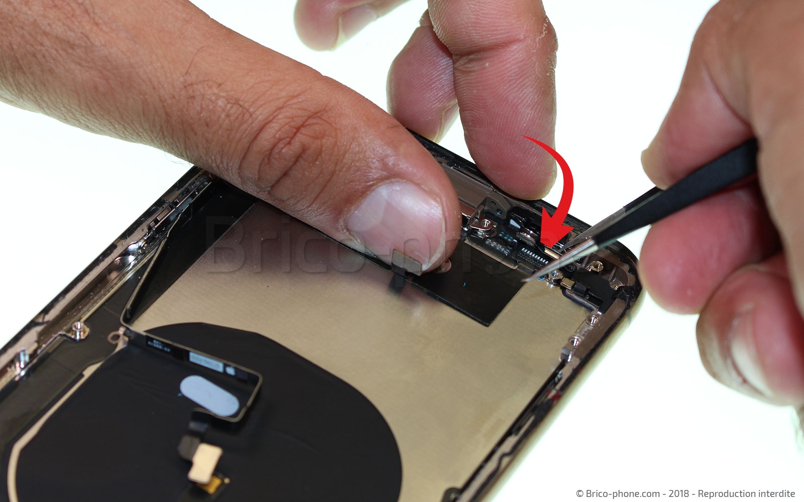 Démontage complet sur iPhone XS Max photo 1