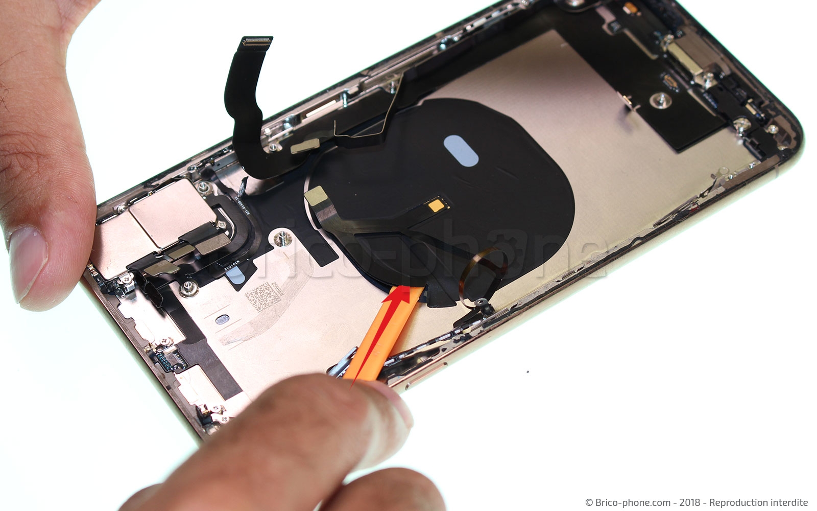 Démontage complet sur iPhone XS Max photo 1