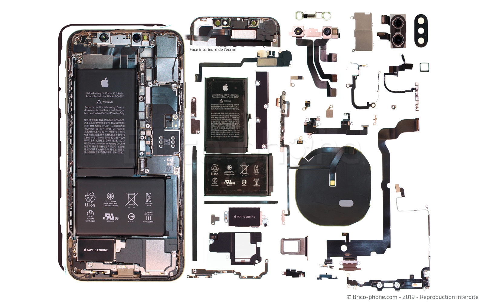 Démontage complet sur iPhone XS Max photo 1