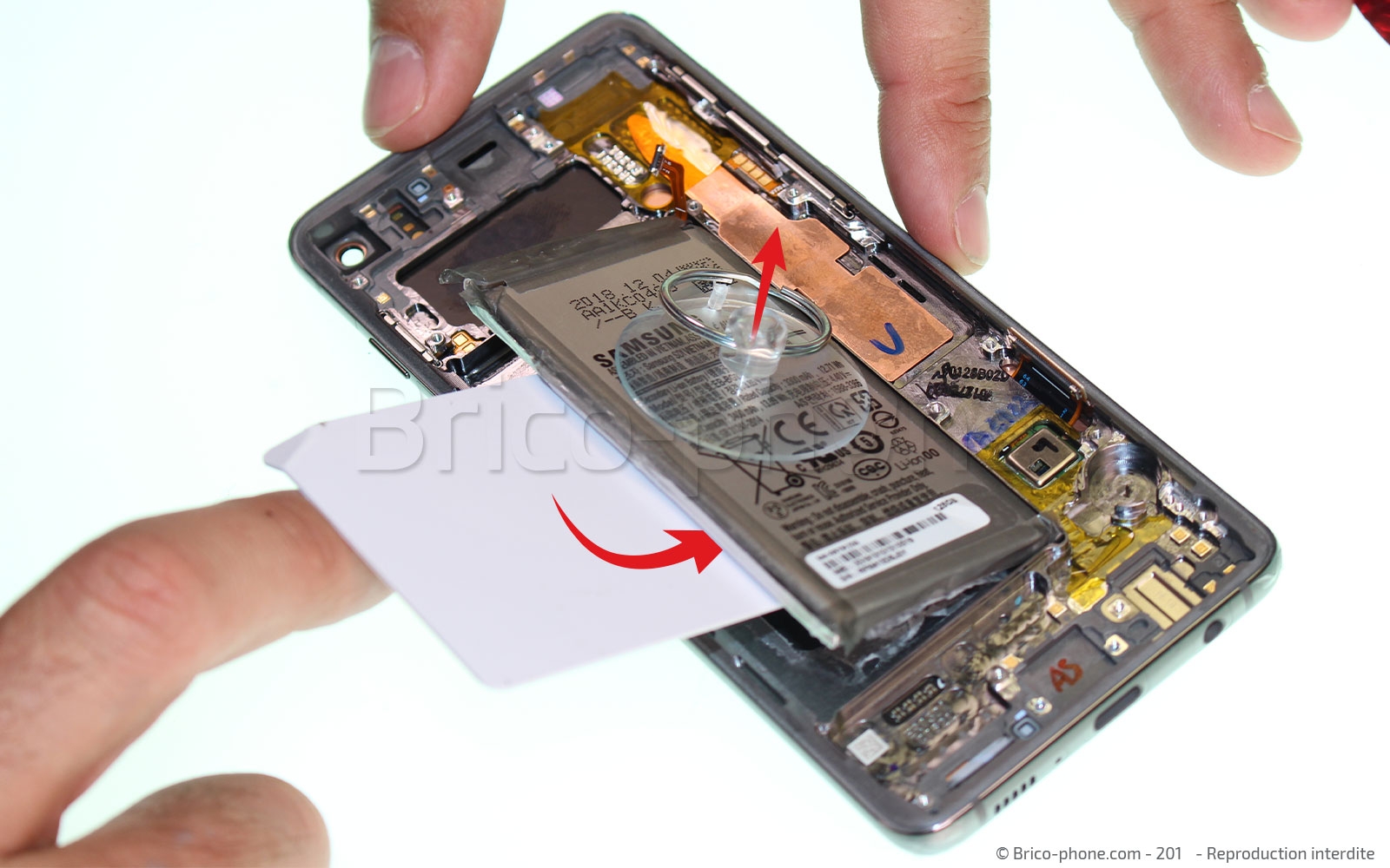 Démontage complet sur Galaxy S10 photo 3