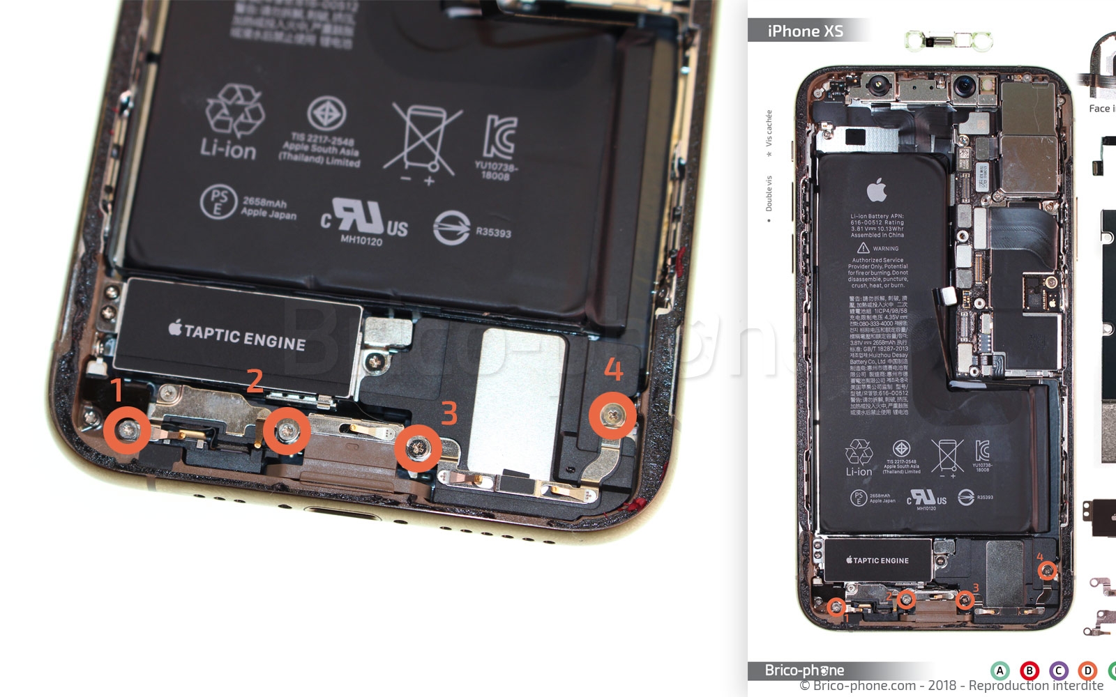Démontage complet sur iPhone XS photo 1