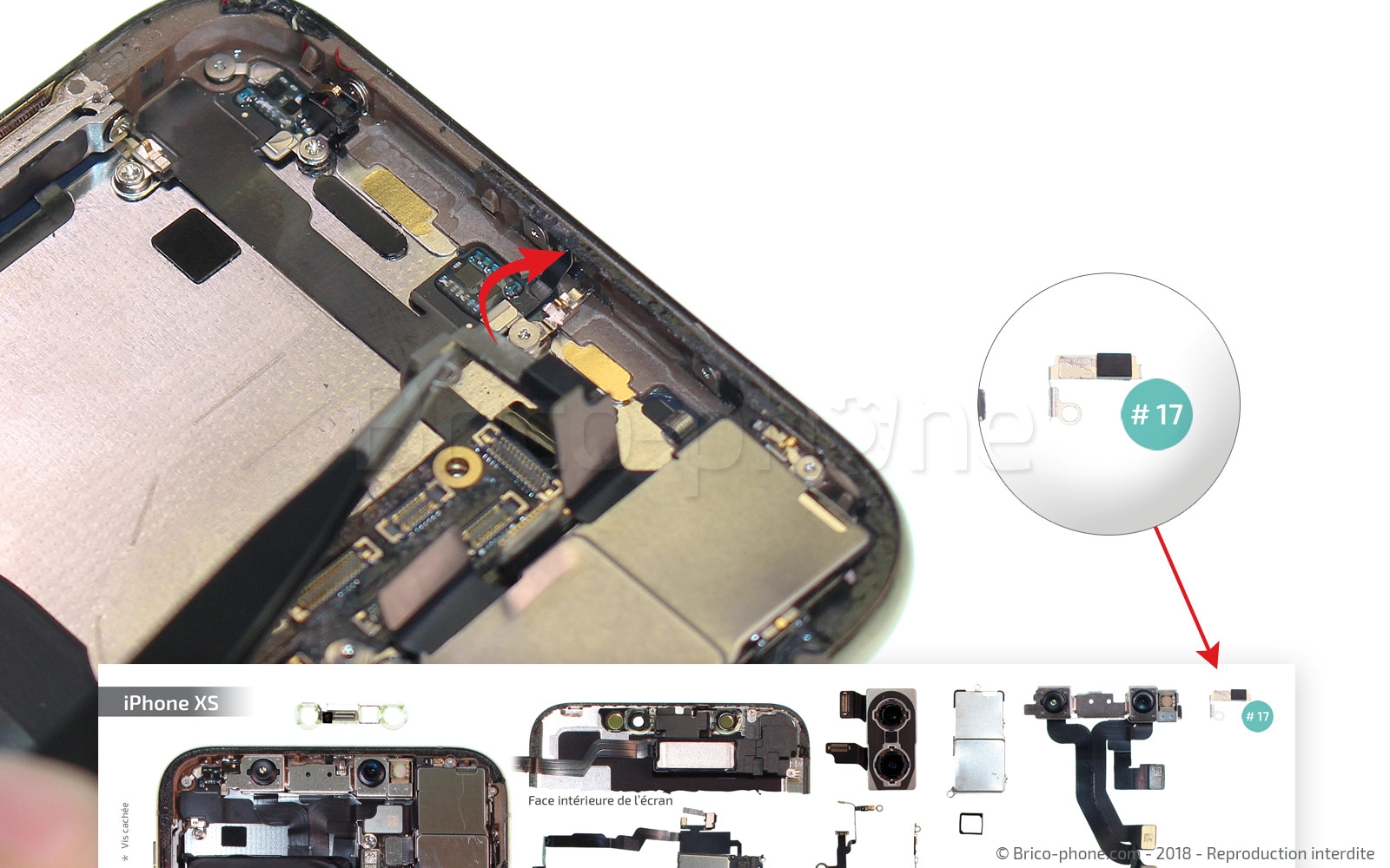 Démontage complet sur iPhone XS photo 3