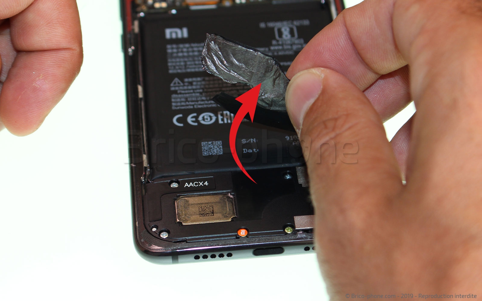 Démontage complet sur Mi 9 photo 1