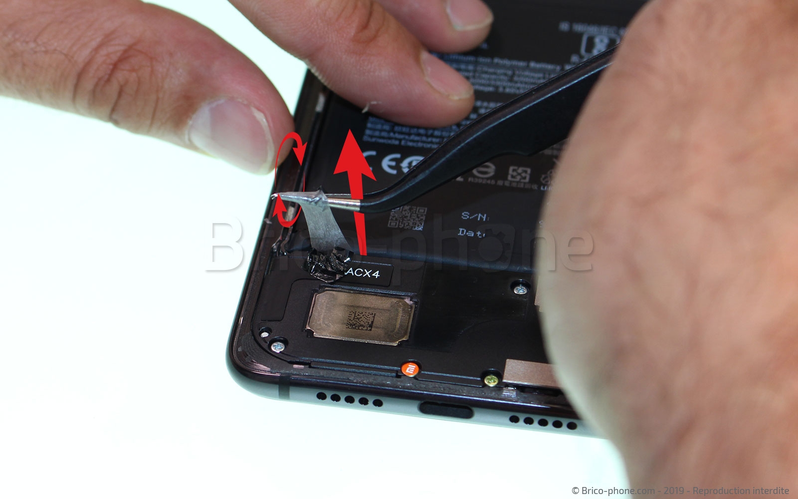 Démontage complet sur Mi 9 photo 2