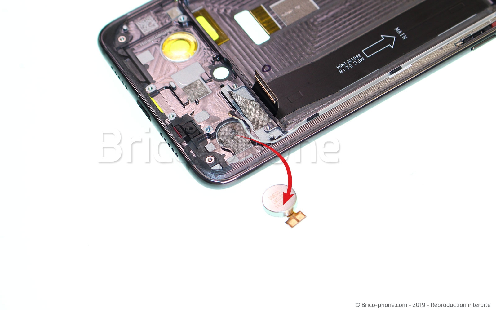 Démontage complet sur Mi 9 photo 2