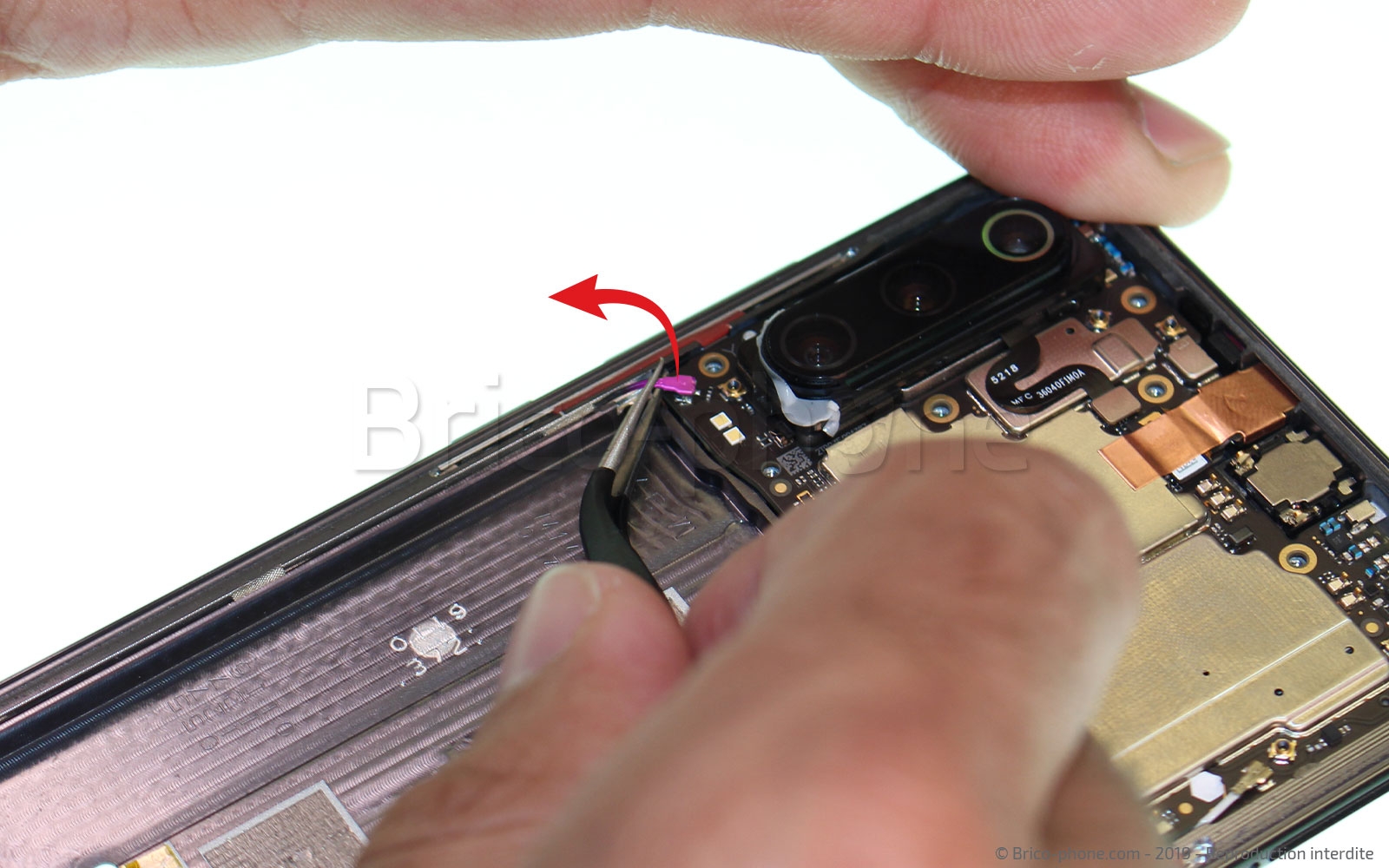 Démontage complet sur Mi 9 photo 1