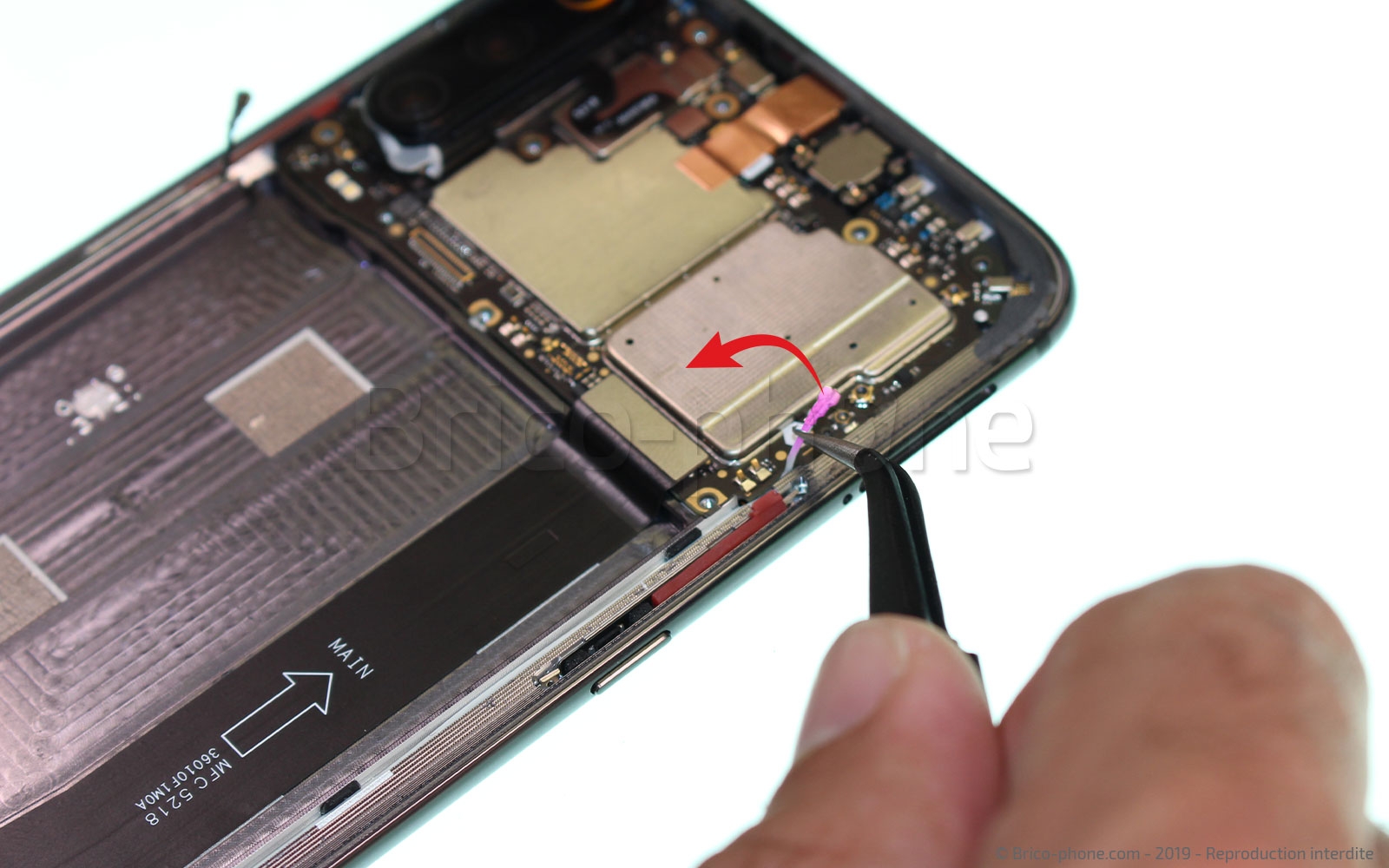 Démontage complet sur Mi 9 photo 2