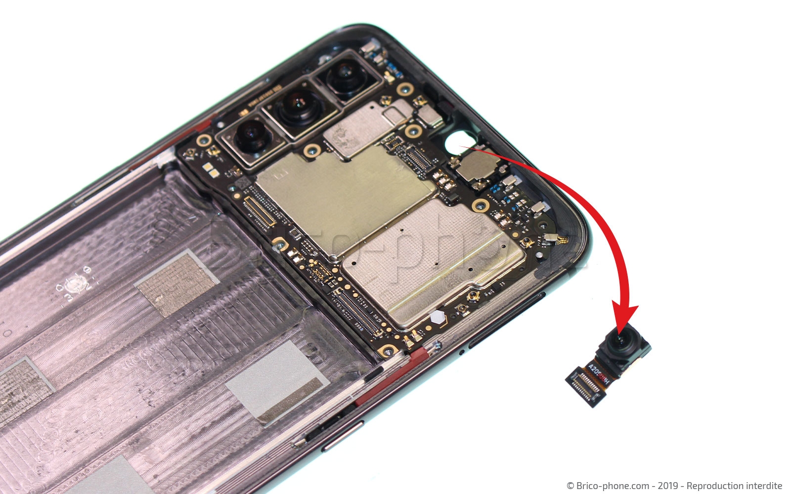 Démontage complet sur Mi 9 photo 3