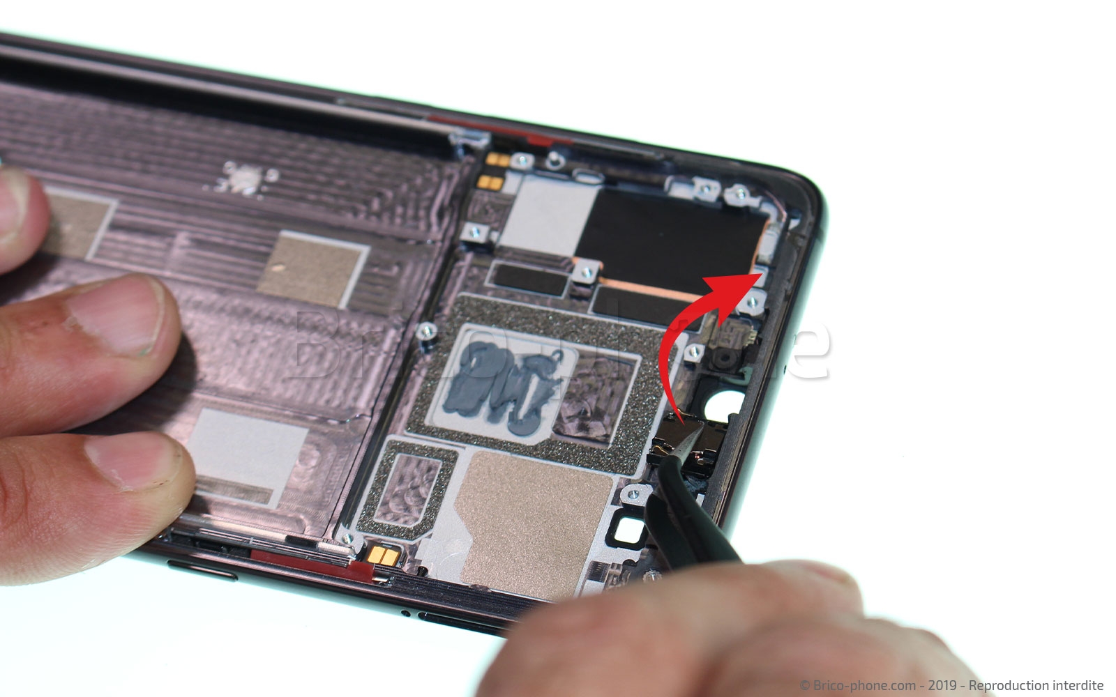 Démontage complet sur Mi 9 photo 1