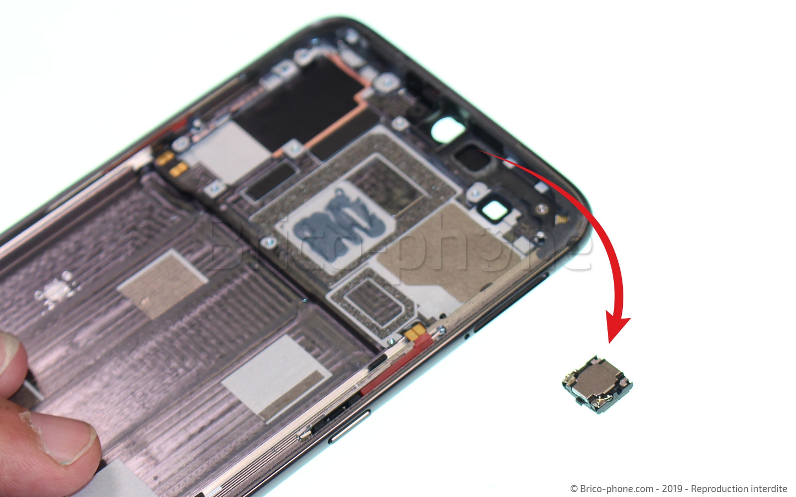 Démontage complet sur Mi 9 photo 2