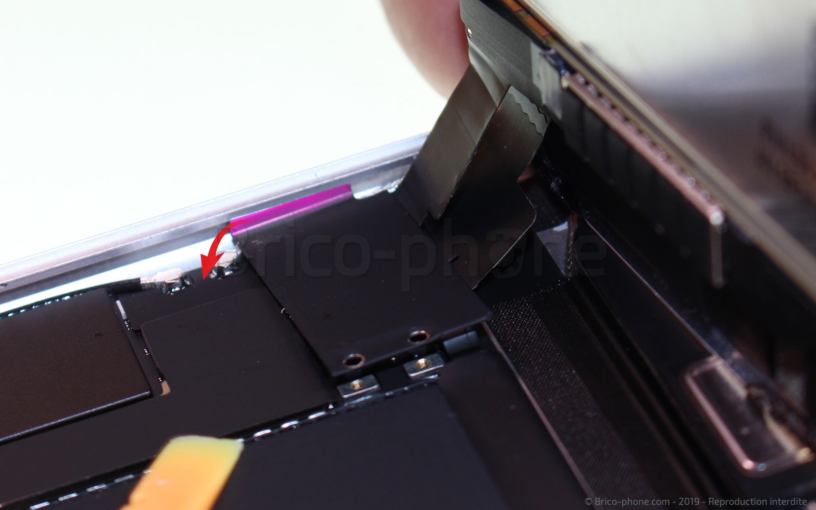 Démontage complet sur iPad Mini 5 photo 2