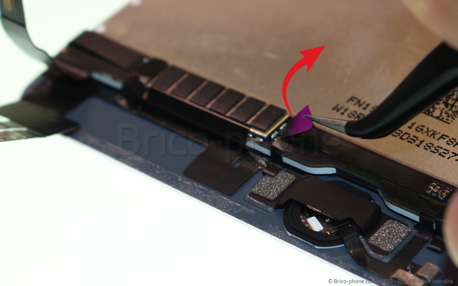 Démontage complet sur iPad Mini 5 photo 1