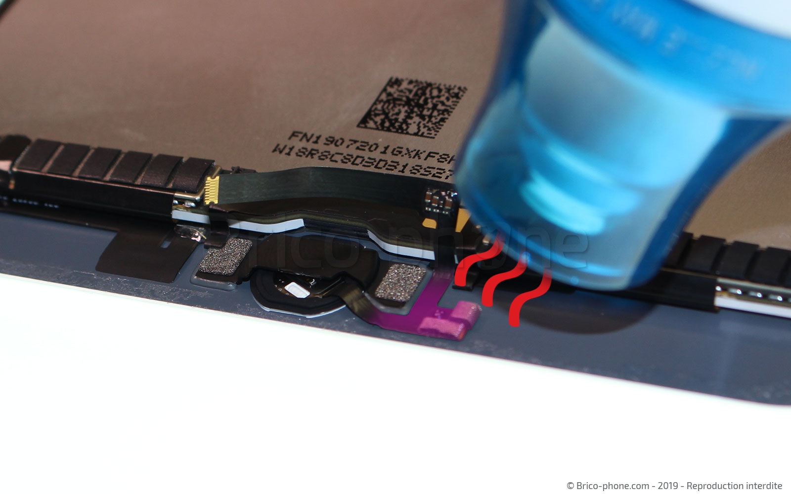 Démontage complet sur iPad Mini 5 photo 2