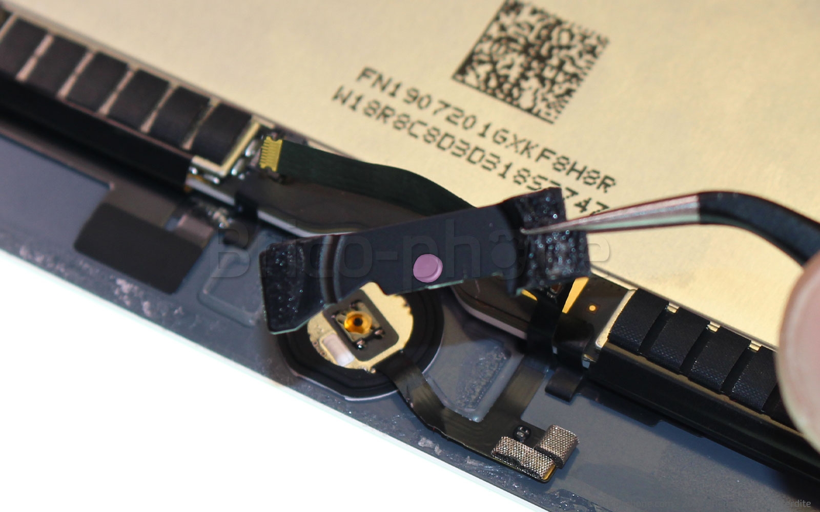 Démontage complet sur iPad Mini 5 photo 3