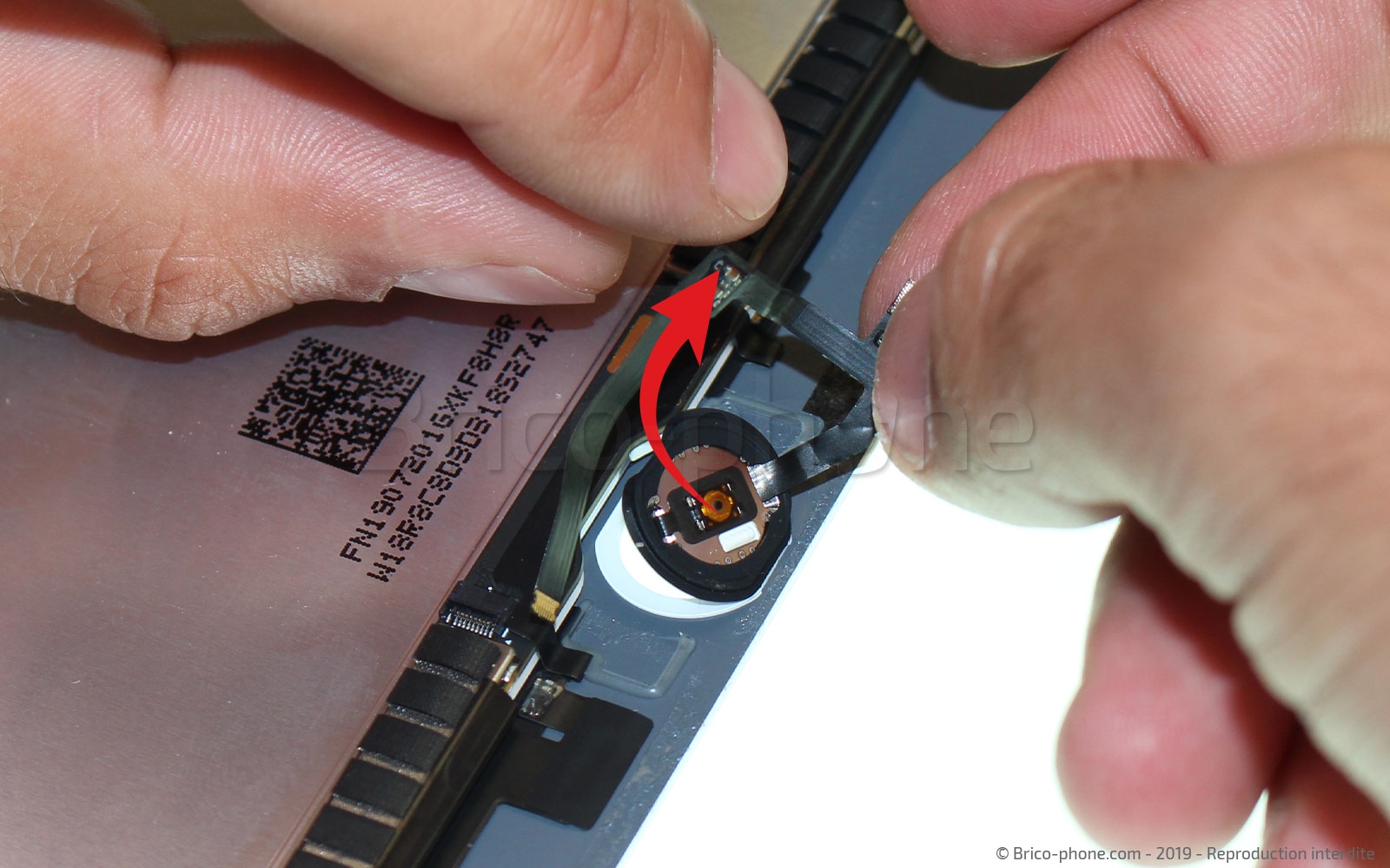 Démontage complet sur iPad Mini 5 photo 2