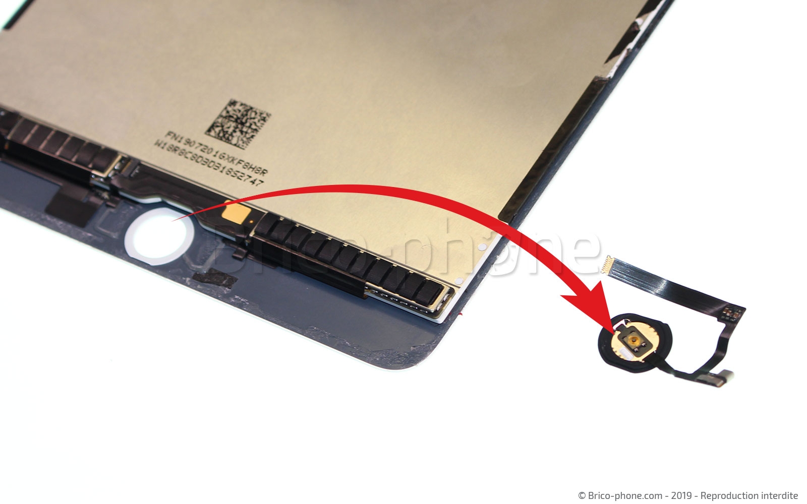 Démontage complet sur iPad Mini 5 photo 3