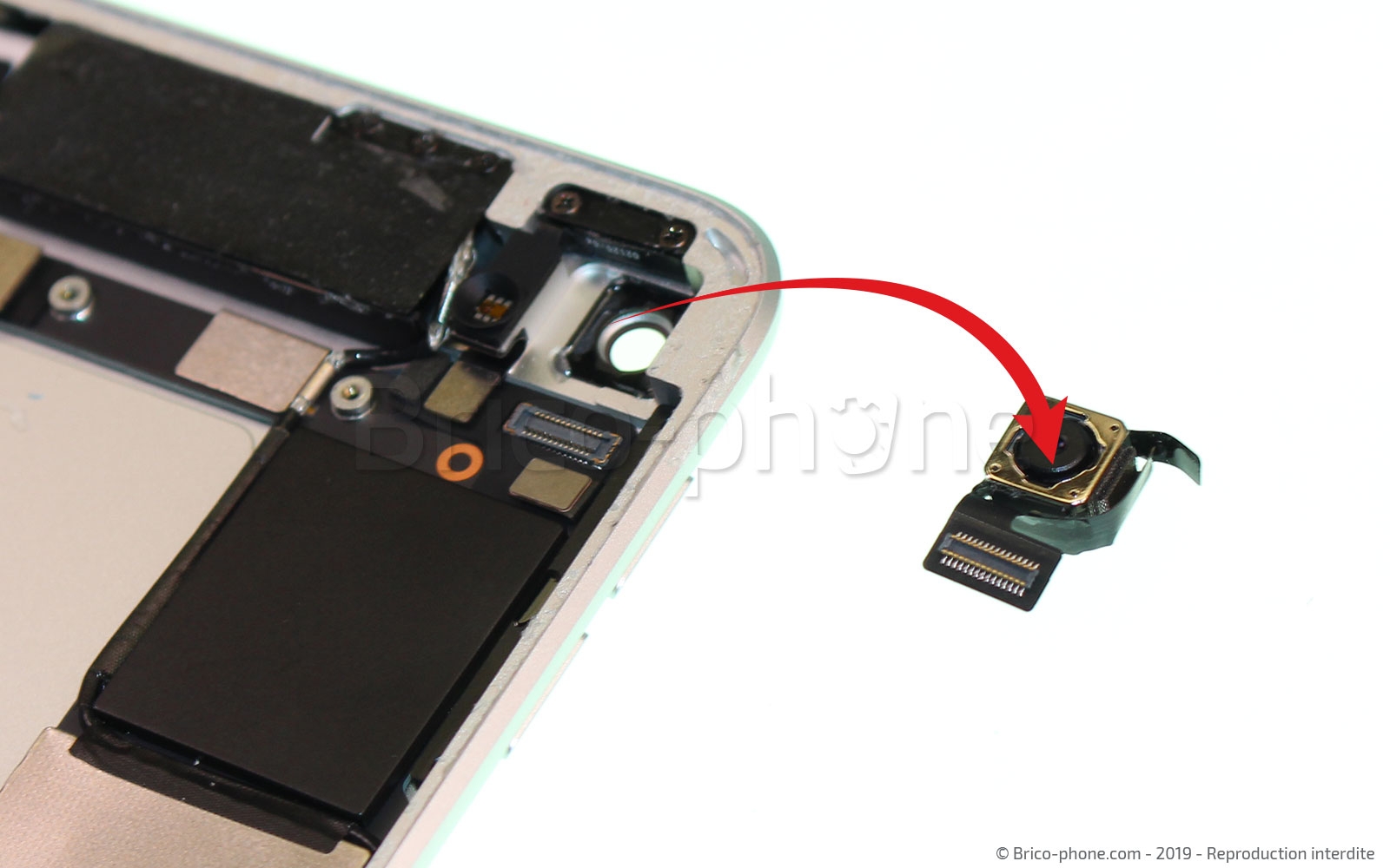 Démontage complet sur iPad Mini 5 photo 3