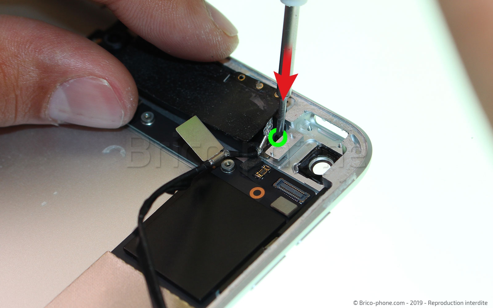 Démontage complet sur iPad Mini 5 photo 2