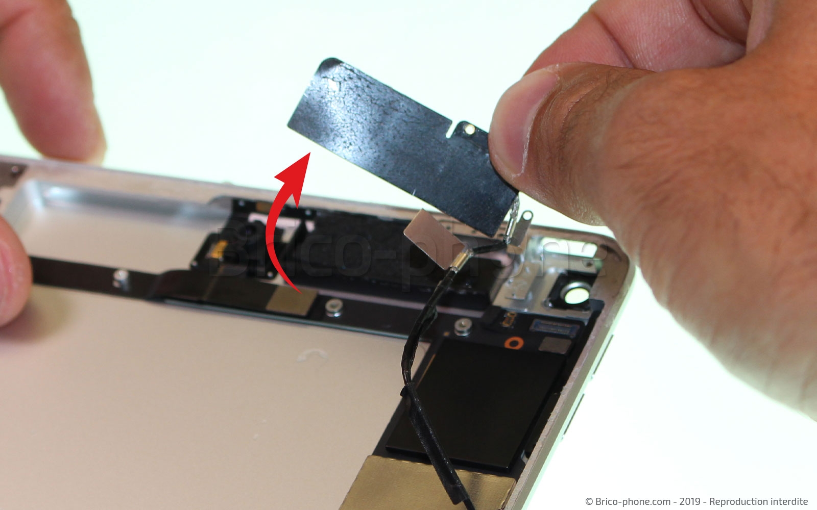 Démontage complet sur iPad Mini 5 photo 1