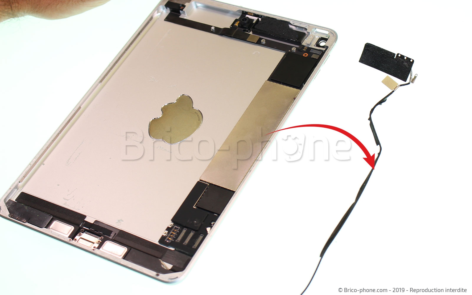 Démontage complet sur iPad Mini 5 photo 2