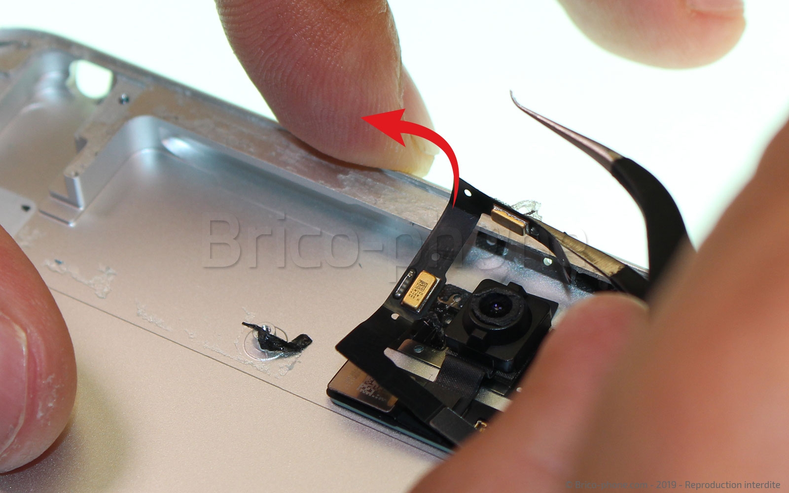 Démontage complet sur iPad Mini 5 photo 3