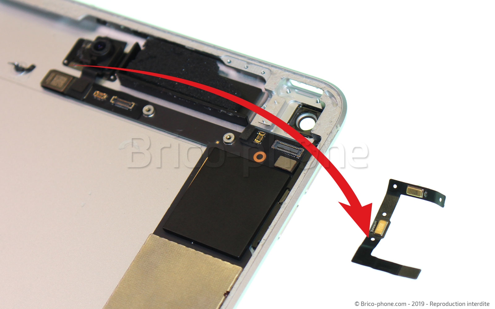 Démontage complet sur iPad Mini 5 photo 4