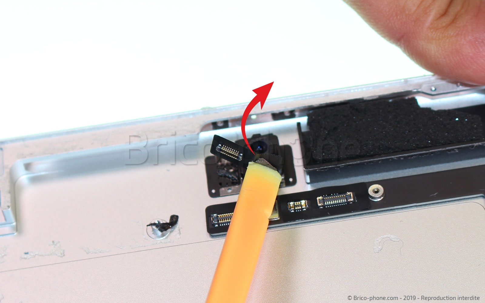 Démontage complet sur iPad Mini 5 photo 2