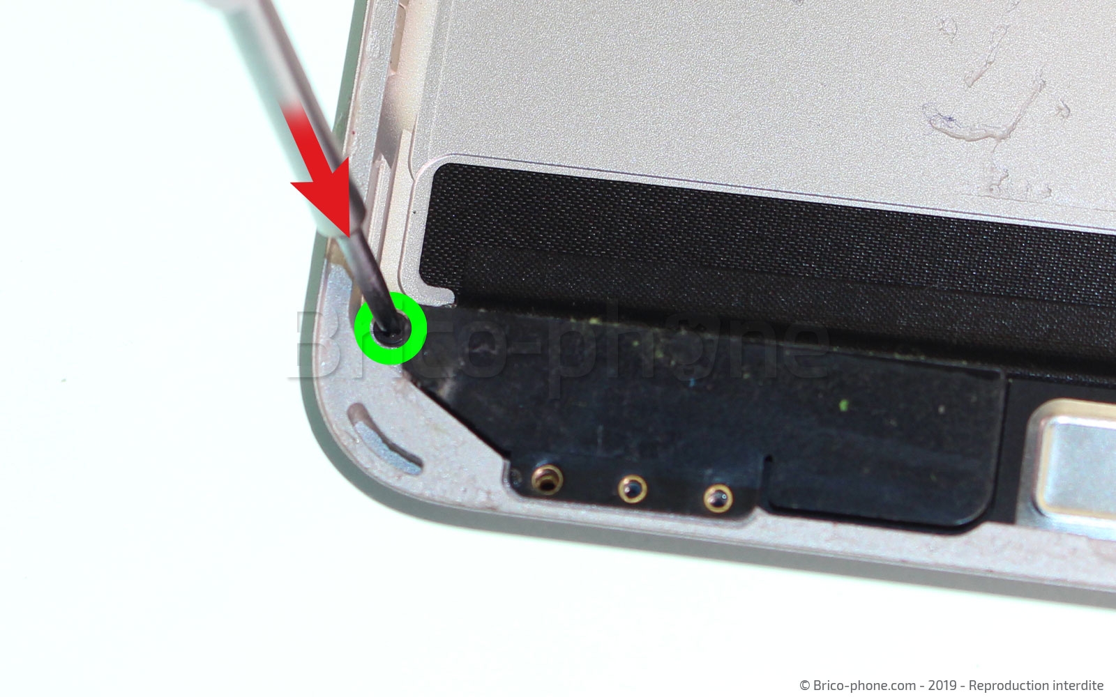 Démontage complet sur iPad Mini 5 photo 2