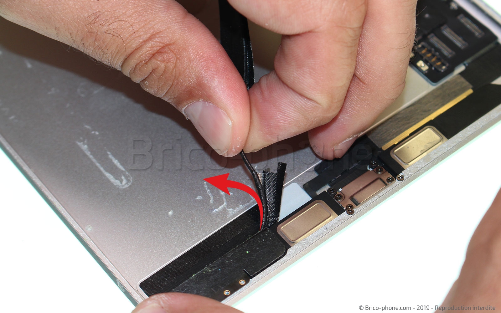 Démontage complet sur iPad Mini 5 photo 2