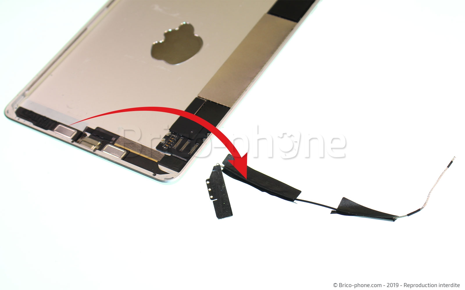 Démontage complet sur iPad Mini 5 photo 4