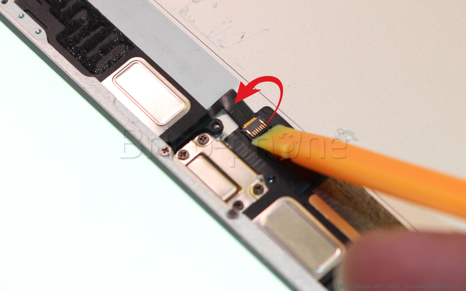 Démontage complet sur iPad Mini 5 photo 1