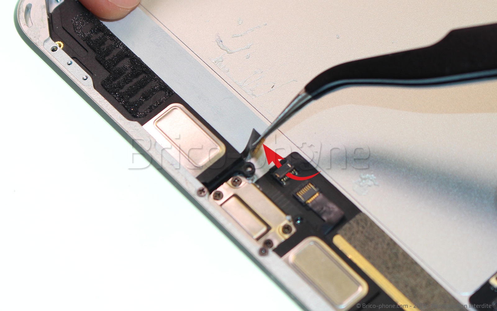 Démontage complet sur iPad Mini 5 photo 2