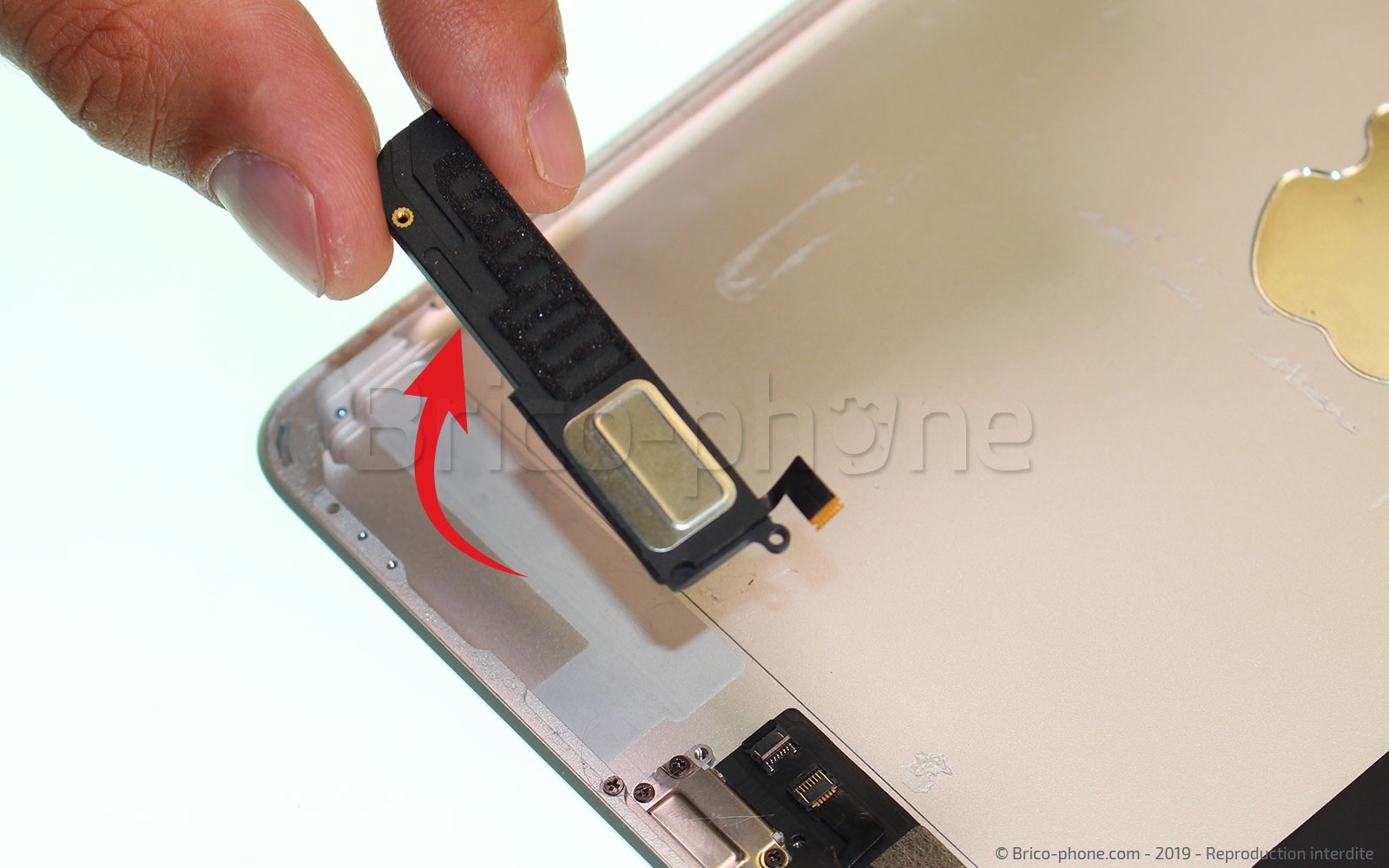 Démontage complet sur iPad Mini 5 photo 3