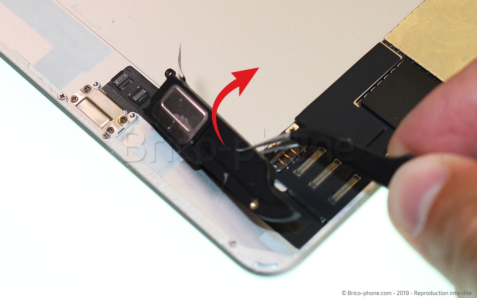 Démontage complet sur iPad Mini 5 photo 3