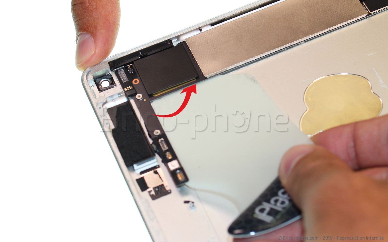Démontage complet sur iPad Mini 5 photo 2