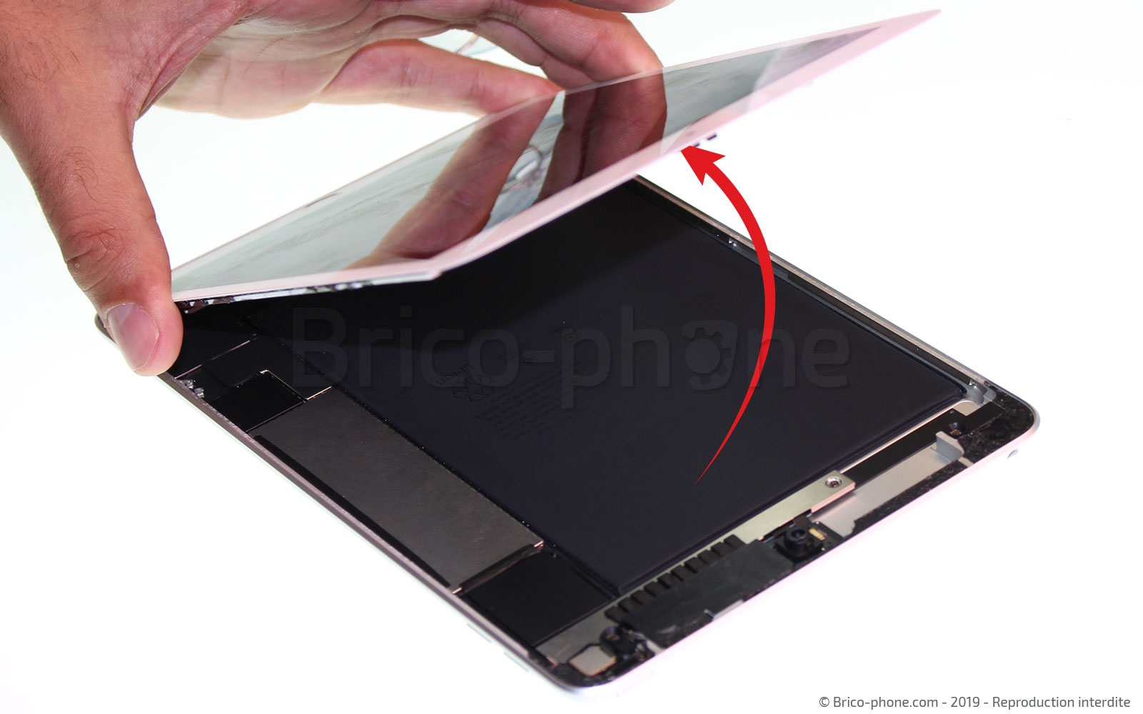 Changement d'écran (vitre+LCD) sur iPad Mini 5 photo 2