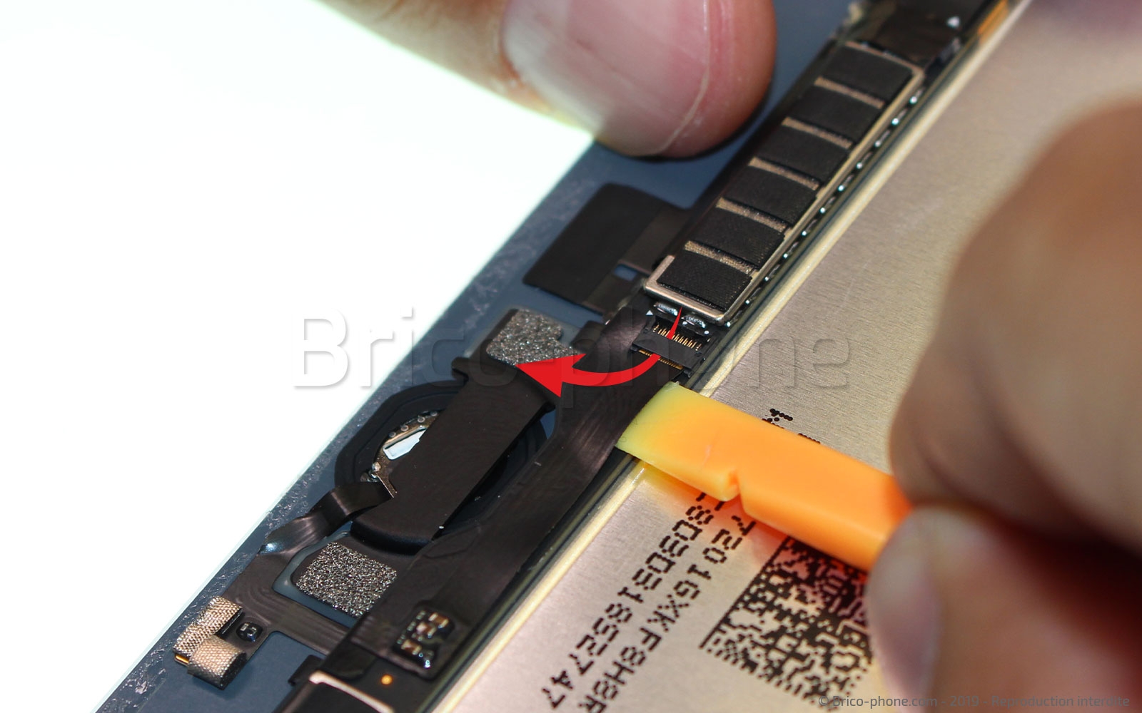 Changement d'écran (vitre+LCD) sur iPad Mini 5 photo 3