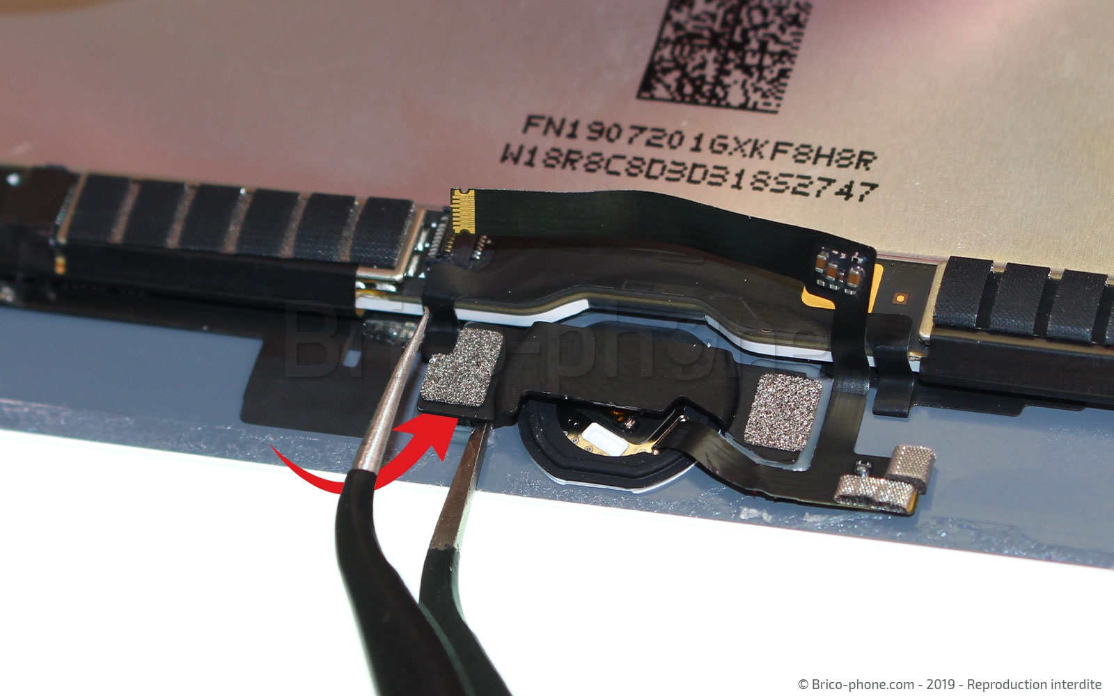 Changement d'écran (vitre+LCD) sur iPad Mini 5 photo 1